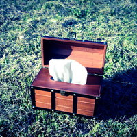 宝箱はティッシュケースだったの写真