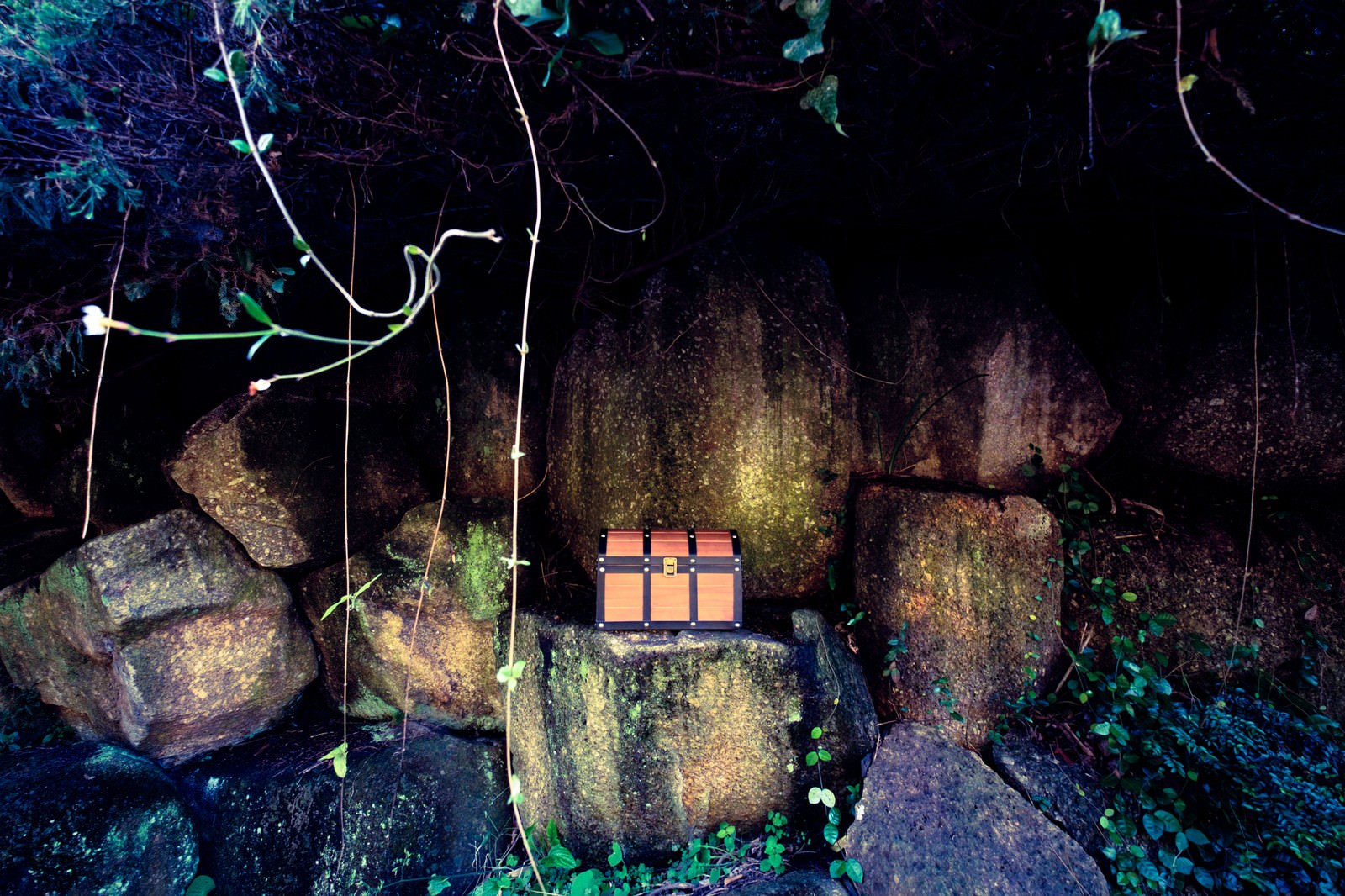 苔と石積みの中に置かれた古びた宝箱