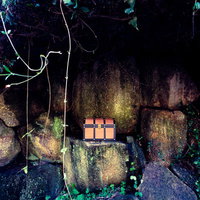 これ絶対にモンスターが出てくるやつ。苔むした石積みに隠された宝箱の写真