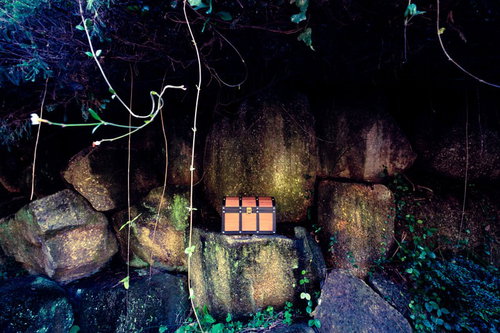 これ絶対にモンスターが出てくるやつ。苔むした石積みに隠された宝箱