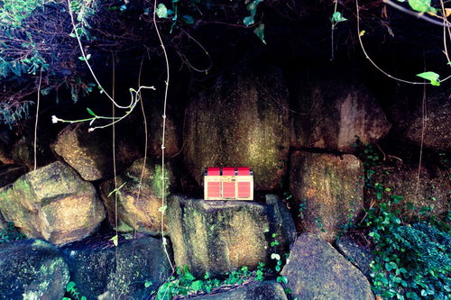 ボスを倒した先にレアな宝箱を発見