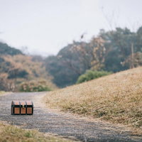 宝箱があらわれた！の写真