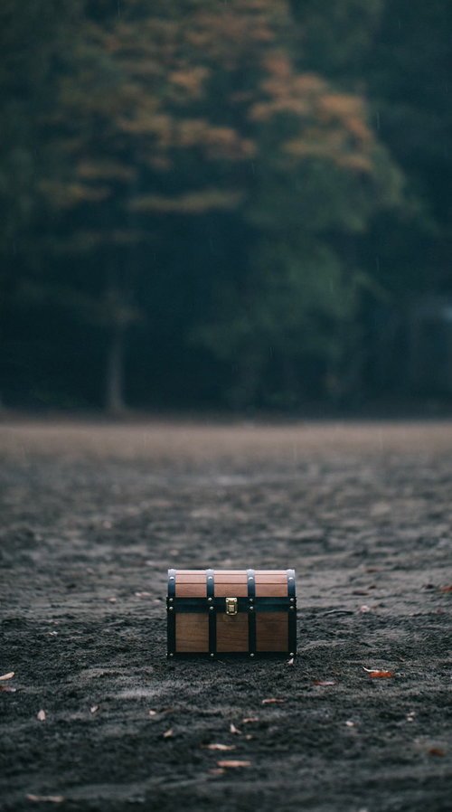 たからばこがあらわれた！ヴィレバン風ファンタジー雑貨