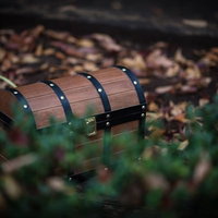 目と鼻の先の宝箱が取れない（RPGあるある）の写真