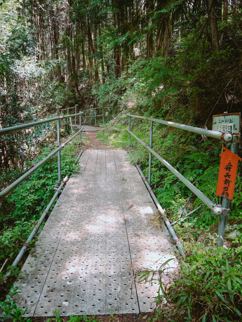 樹林帯に囲まれた登山道の木製デッキ。グレーの手すりが両側に付き、奥へ続く。