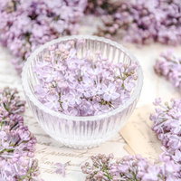 透明な器に盛る開花したライラックの花束と蕾の写真