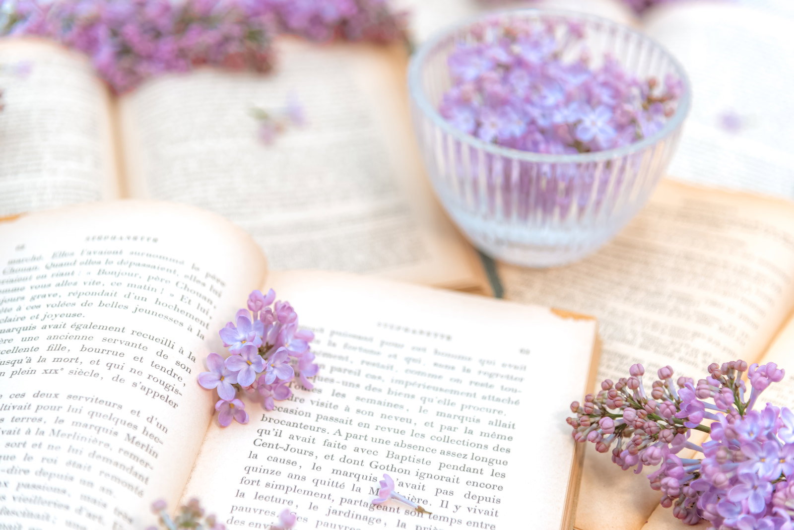 洋書に挟まれた紫色のライラックの花と、ガラス花器に生けられたライラック