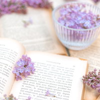 洋書のページに挟んだライラックの生花と花器の写真