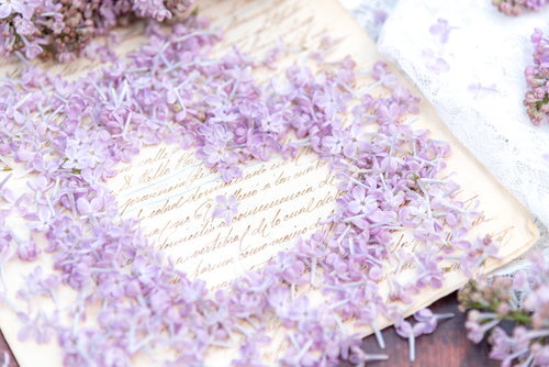 ラッキーライラックとハート型のラブレター