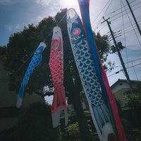 家の前に吊るされたカラフルな鯉のぼりの写真