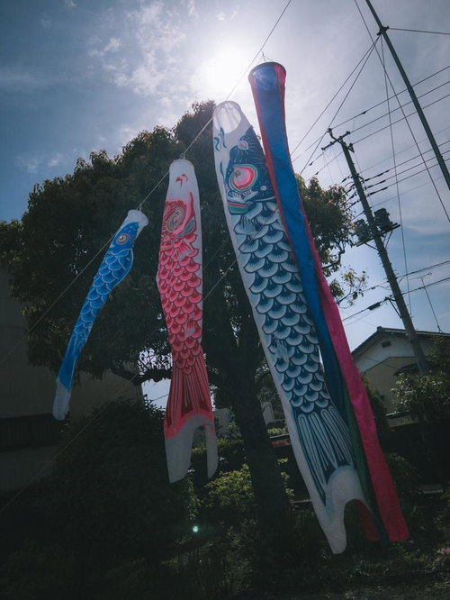 家の前に吊るされたカラフルな鯉のぼり