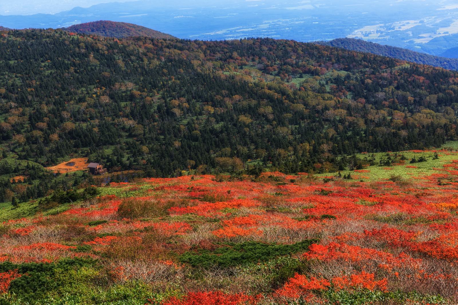 紅葉した木々と山が湖面に映り込む秋の水鏡