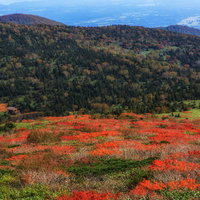紅葉はじめの山と湖の水鏡の写真