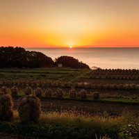 山形暮坪の棚田が夕暮れに染まる風景の写真
