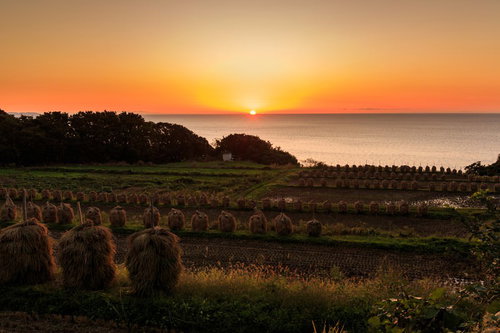 山形暮坪の棚田が夕暮れに染まる風景