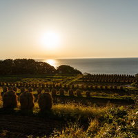 海が見える暮坪の棚田の夕暮れ時の風景の写真