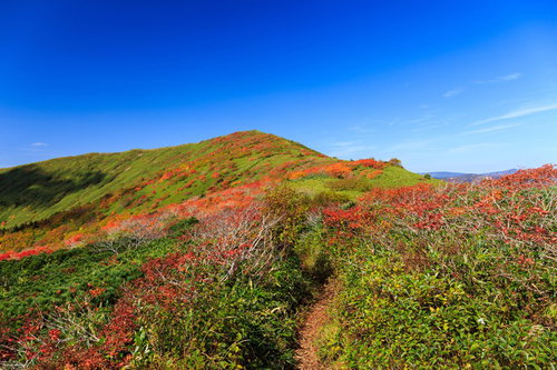 秋の山歩き、森林限界の紅葉する登山道と青空
