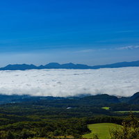 クリスマスのアイシングクッキー詰め合わせの写真