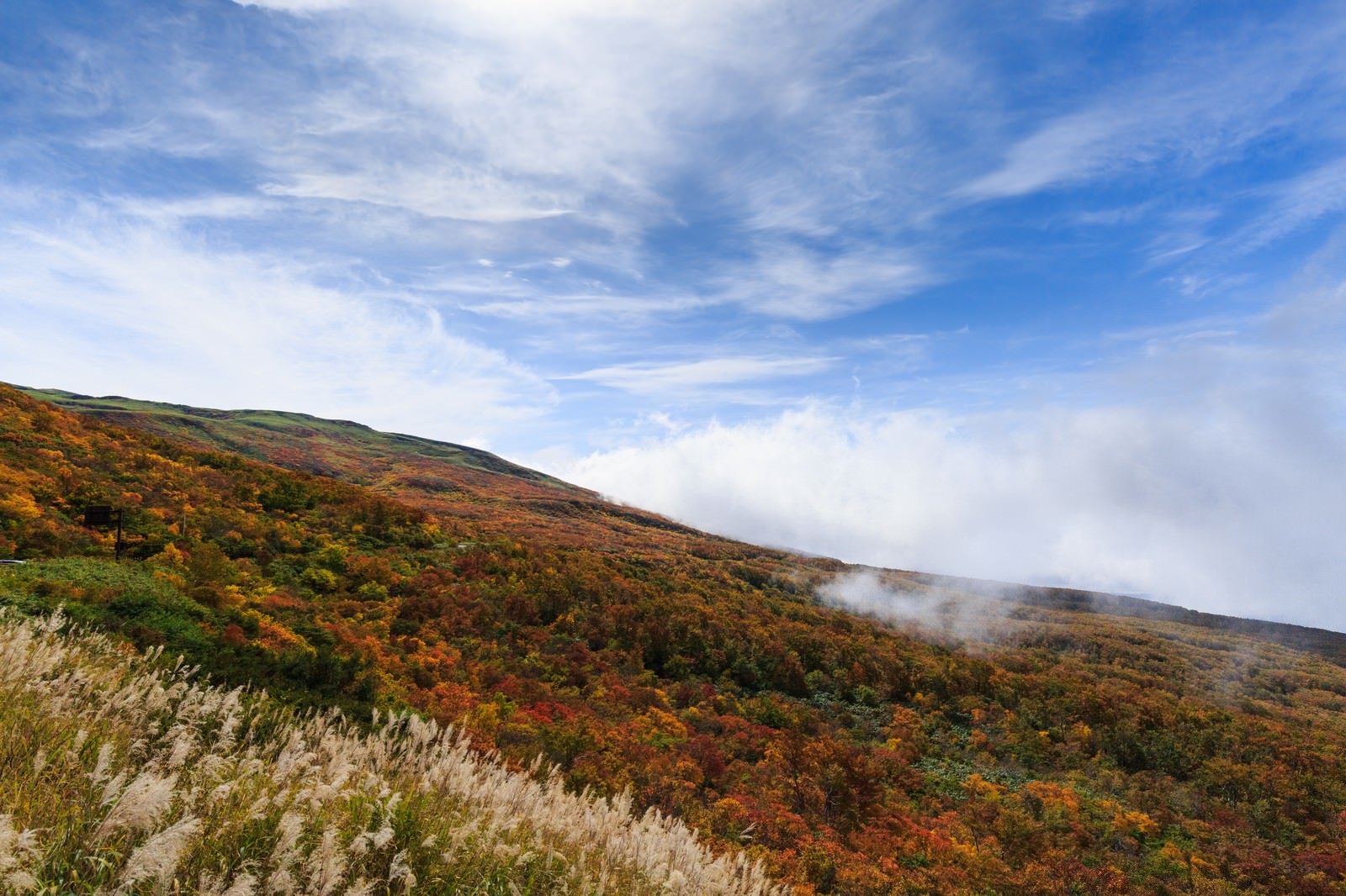 紅葉時期の鳥海山腹の風景、山の斜面に赤や黄色の紅葉が広がり青空が見える