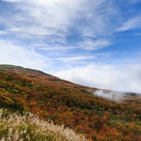 紅葉と黄葉に染まる秋の鳥海山山腹の草原風景の写真