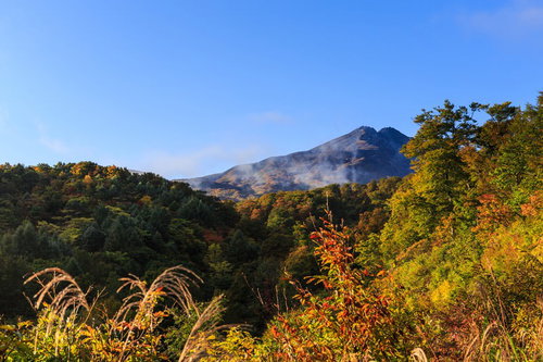 ペンを口元に当てて考える女性