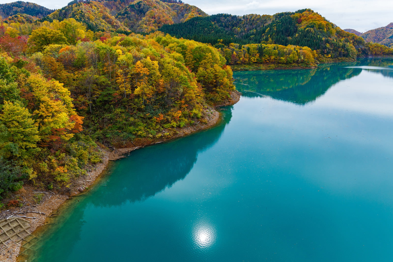 秋の紅葉に囲まれたダム湖の水面に太陽が反射している風景