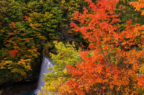 色づきはじめる八幡平の紅葉と渓谷の秋景色