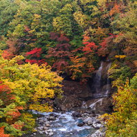 八幡平の渓谷を染める秋の紅葉の写真