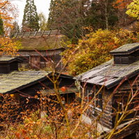 山間の温泉宿に映える紅葉時期の古民家群と秋の自然景観の写真