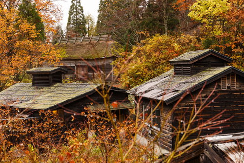 山間の温泉宿に映える紅葉時期の古民家群と秋の自然景観