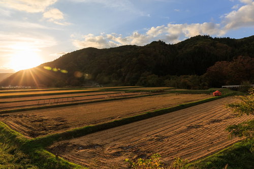 稲刈り後の田んぼに沈む夕焼け、秋の収穫風景
