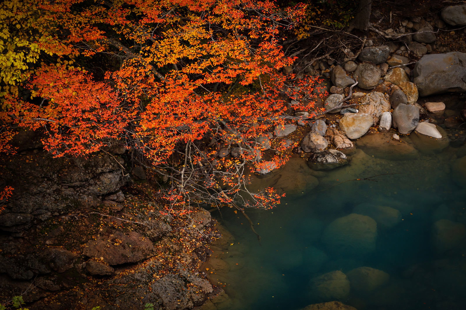 オレンジ色に紅葉したもみじと岩石、透明な河川が写る秋の自然風景