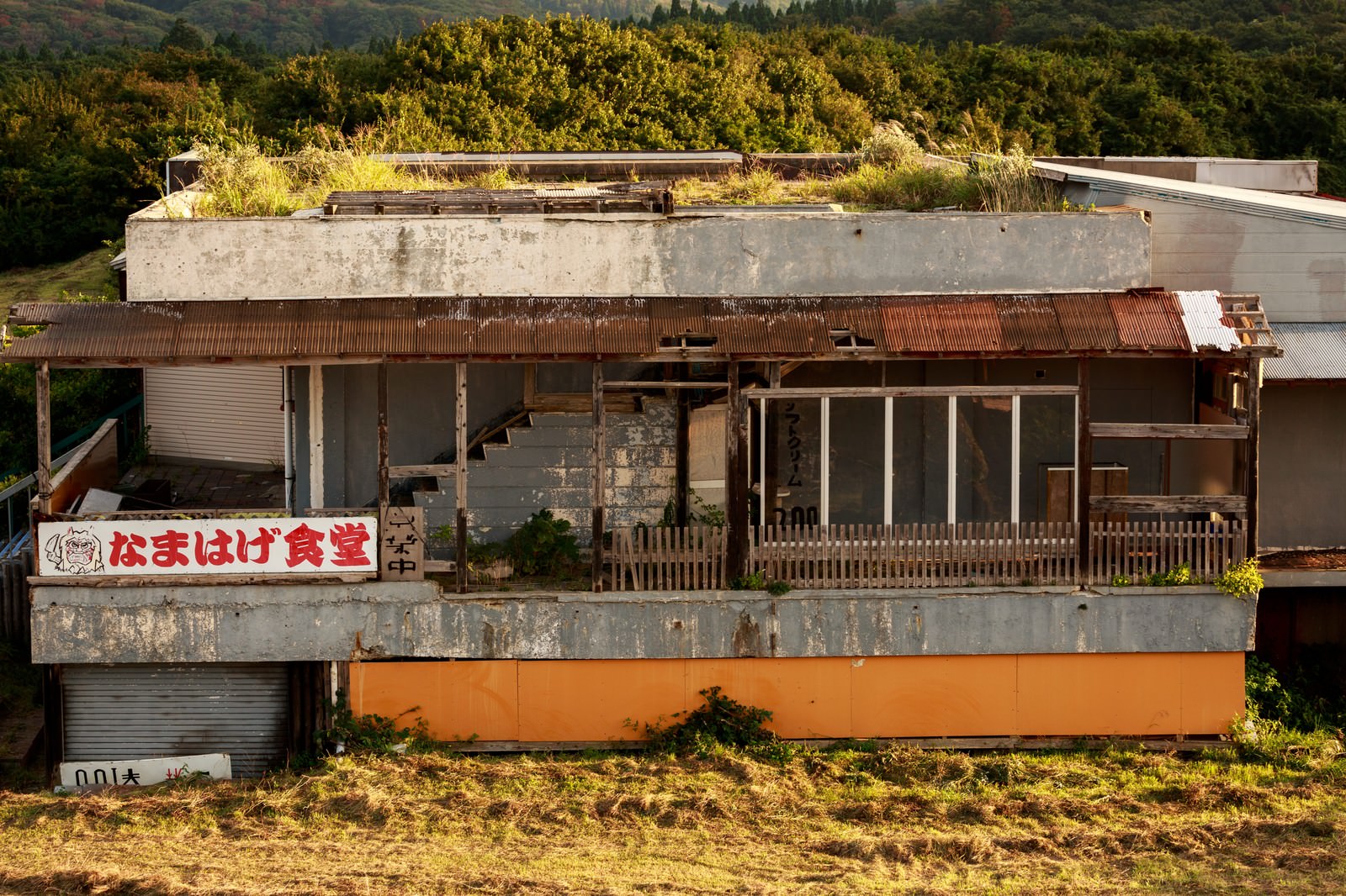 夕暮れの光に照らされた棚田がパズルのような美しい模様を描く田んぼの風景