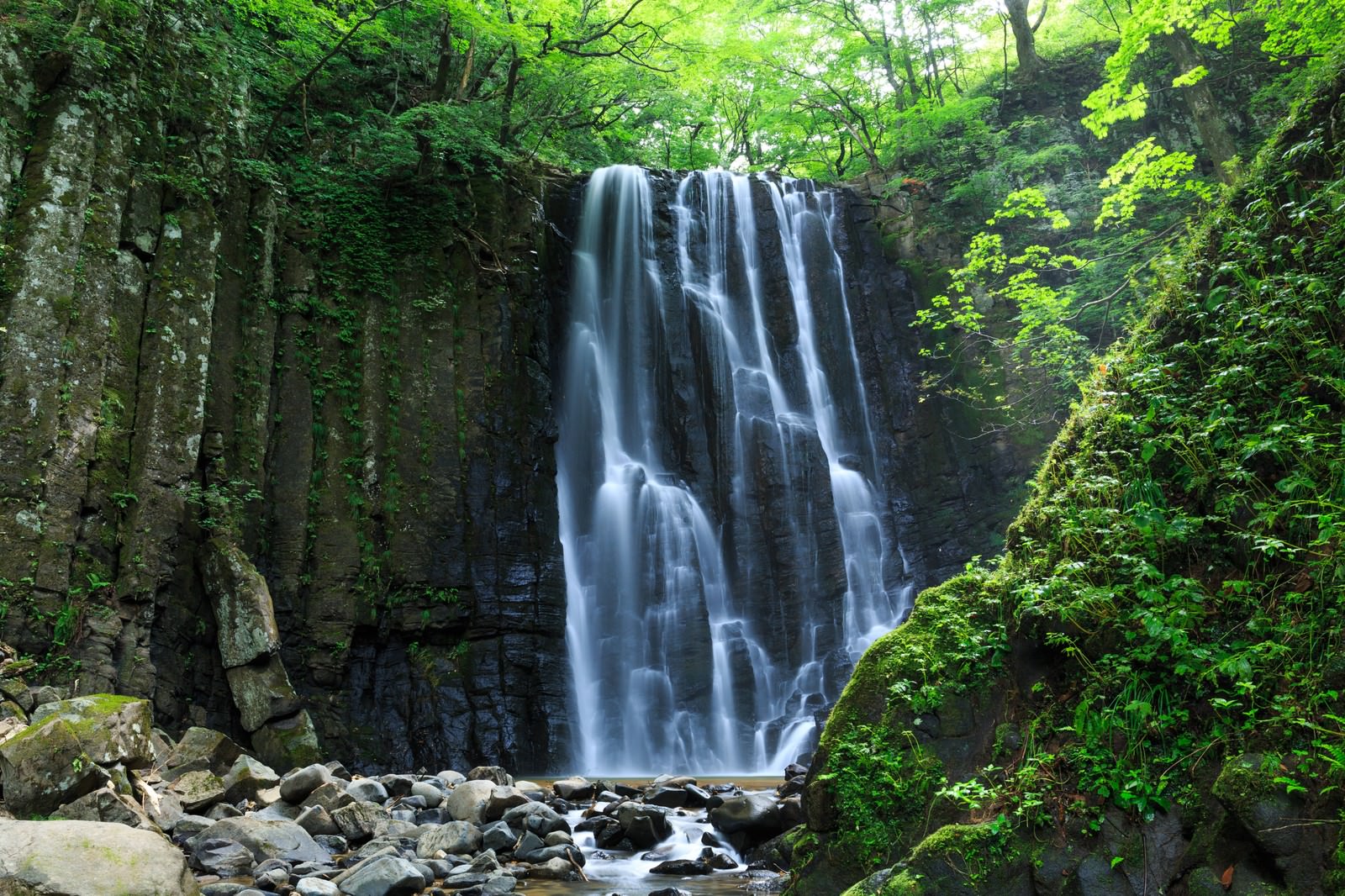 新緑に囲まれた亀田不動滝の渓流風景