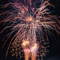 夏の夜空に咲く大曲の花火大会の写真