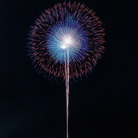 夜空を彩る大輪の花火が光の軌跡を放つ瞬間の写真