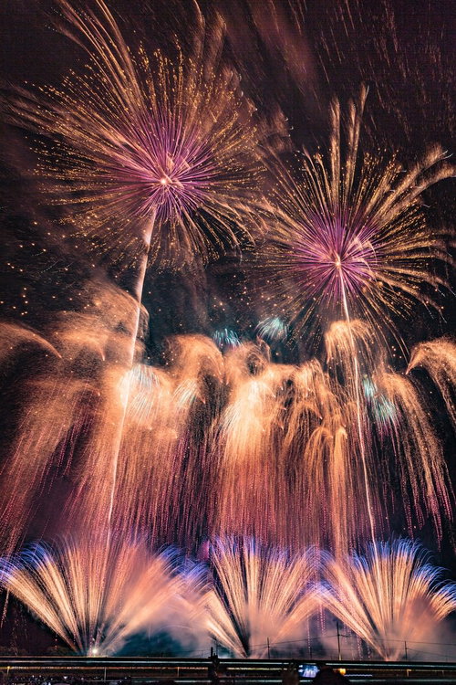 大曲の花火大会の速射連発花火の夜空を彩る黄金色とピンク色の光