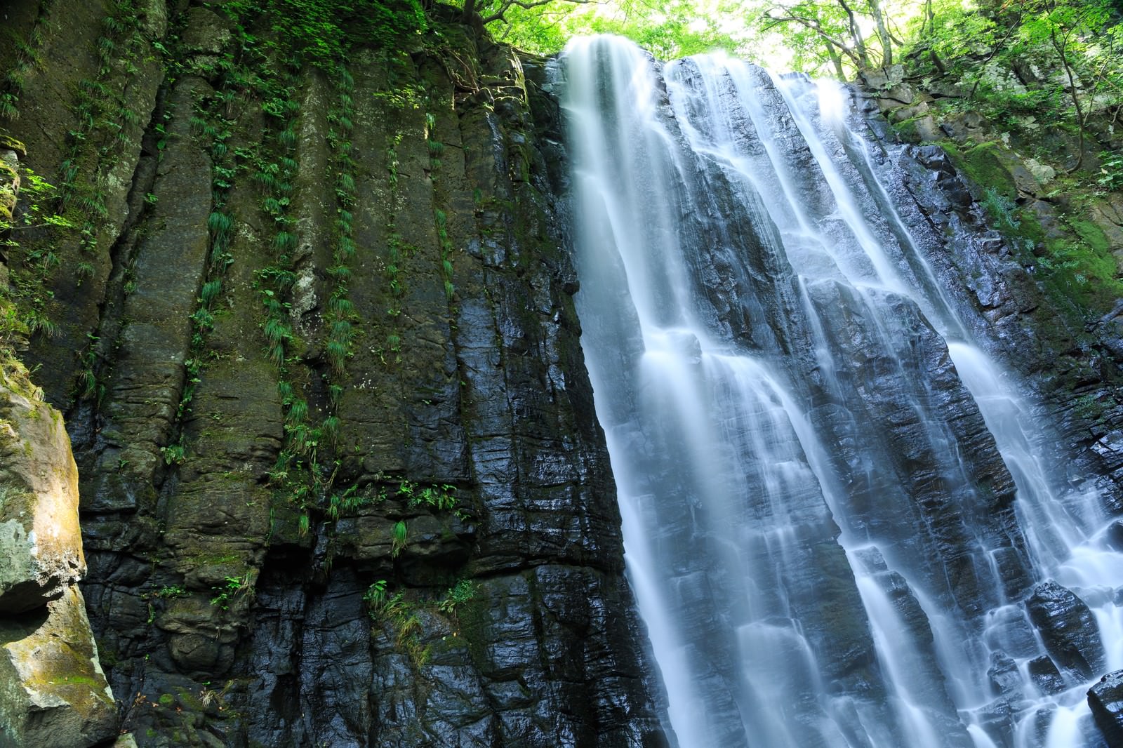 柱状節理の岩壁から流れ落ちる滝と緑豊かな森林
