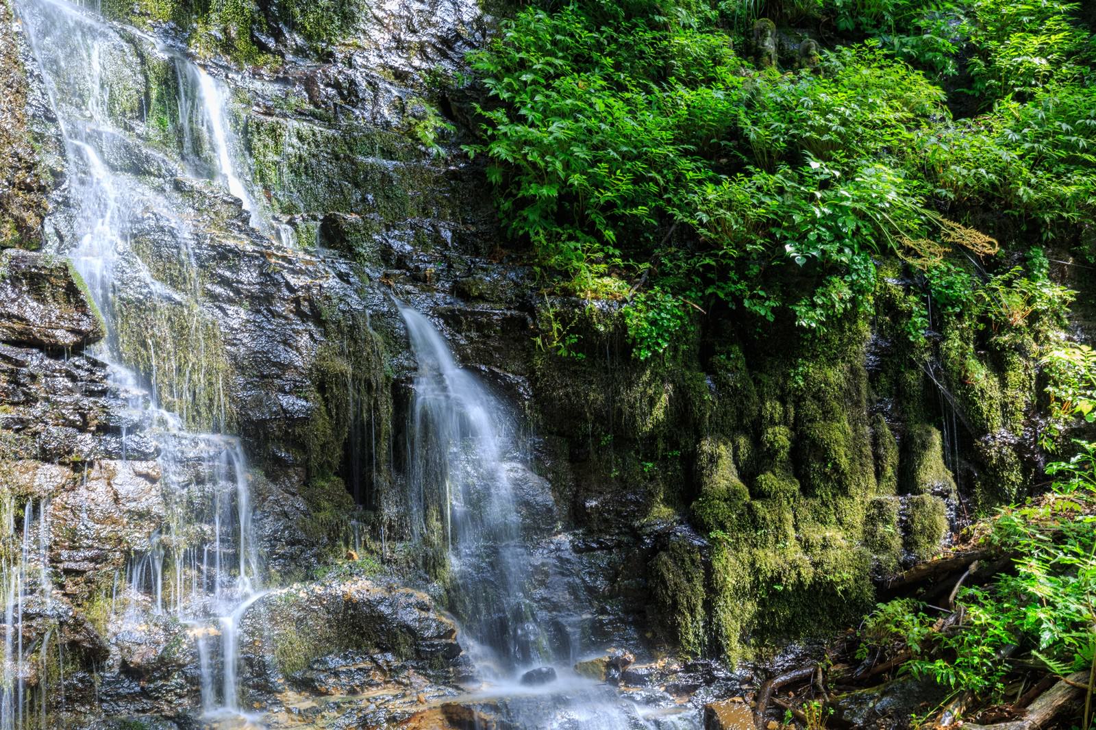 緑の苔に覆われた岩肌を白い水が流れ落ちる滝の風景