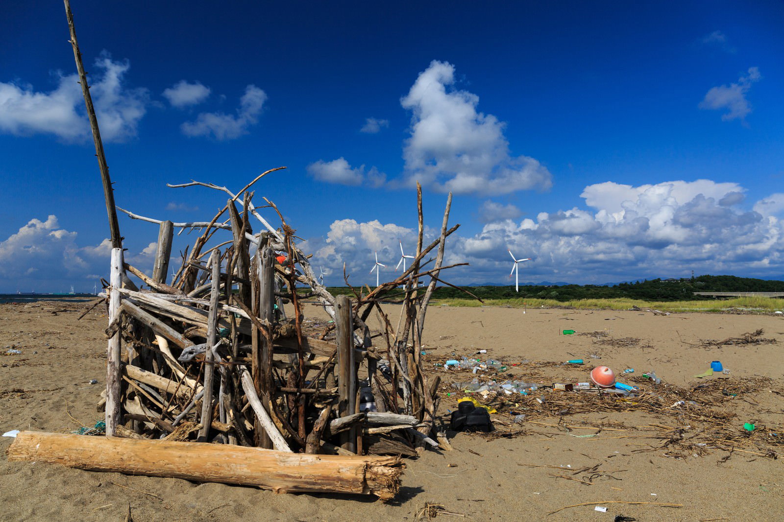 青空の下、砂浜に木製の廃棄物や各種ゴミが散乱している海岸