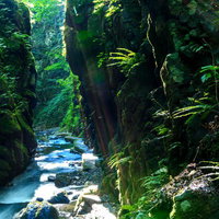 秋田東由利の石沢峡、新緑と渓流、苔むした岩壁に囲まれた清流の写真
