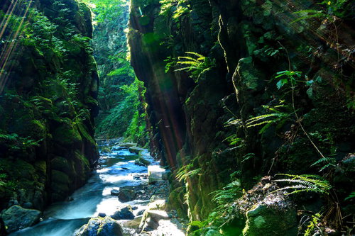 秋田東由利の石沢峡、新緑と渓流、苔むした岩壁に囲まれた清流