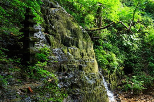 秋田県の霊場滝の沢の渓流と滝 苔むした岩と清流