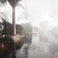 奥飛騨温泉郷・平湯温泉の源泉かけ流し雪見露天風呂の写真