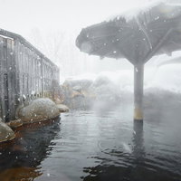 雪が舞う露天風呂（平湯プリンスホテル）の写真