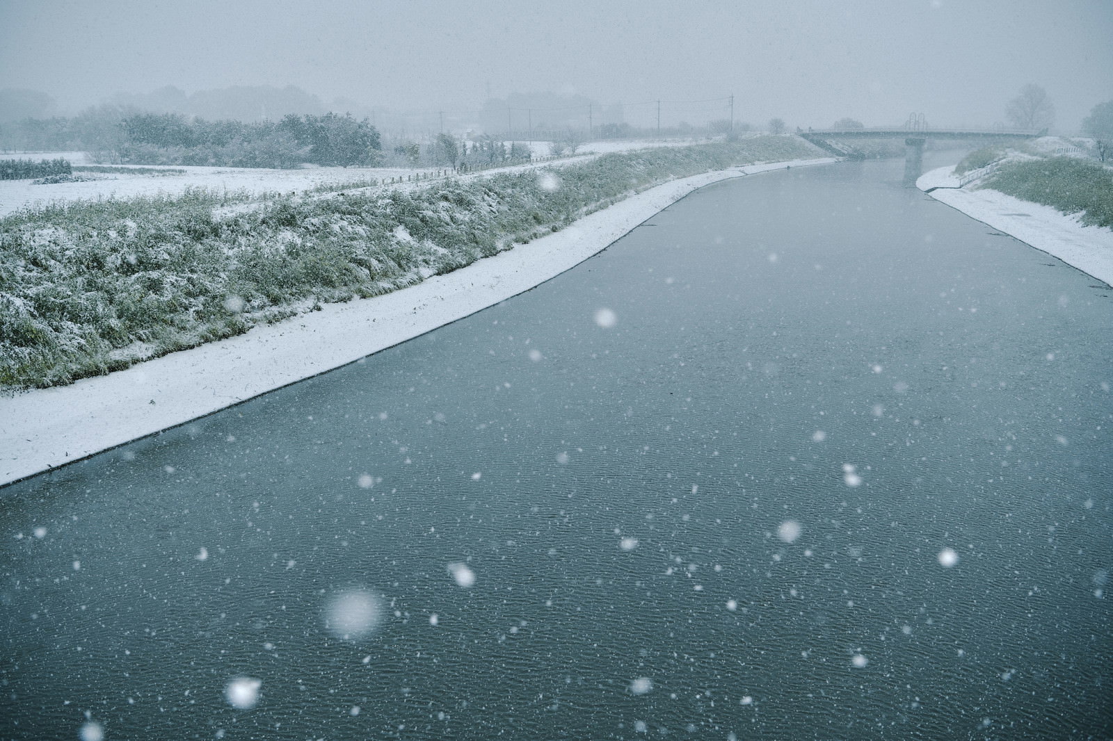 雪が降り積もる朝の芝川、川面に舞い散る雪と雪化粧した岸辺