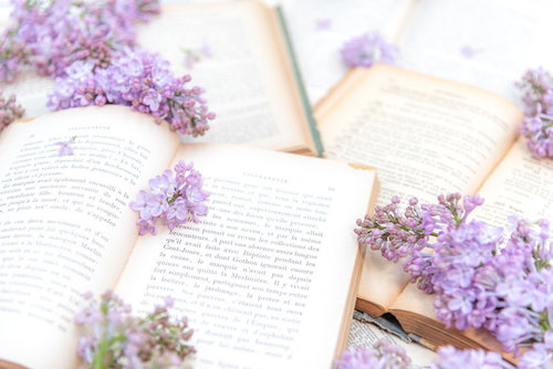 しおりの代わりに挟んだライラックと洋書、生花を使った読書シーン