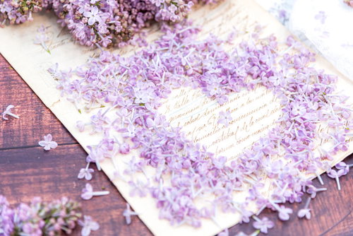 便箋の上に作られたハート型のライラックの花