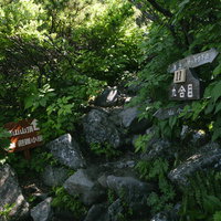 羊蹄山九合目の登山道沿いに立つ木製指導標と樹木の写真