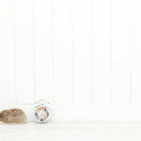 あと10分寝かせて・・・目覚まし時計の前で眠るハリネズミの写真